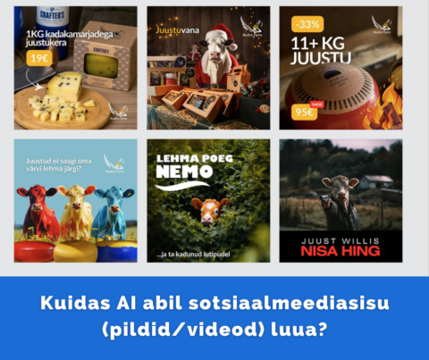 Kuidas AI abil sotsiaalmeediasisu (pildidvideod) luua
